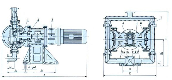 電動隔膜泵結(jié)構(gòu)圖片