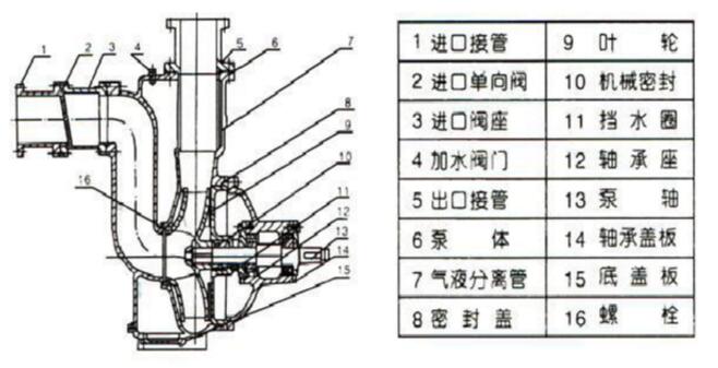 自吸式無(wú)阻塞排污泵結(jié)構(gòu)圖