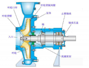 管道離心泵原理結(jié)構(gòu)圖